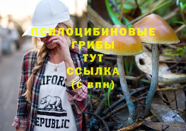 тгк Верхний Тагил