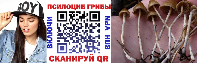 Псилоцибиновые грибы Cubensis  Рузаевка 